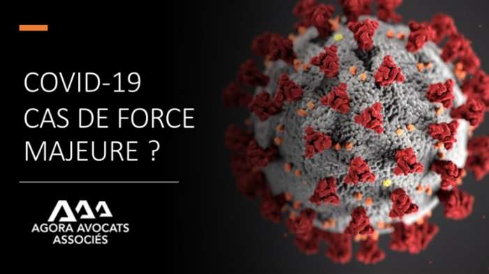 L’épidémie de Covid-19 : un cas reconnu de force majeure dans les marchés publics ? Le point sur cette notion