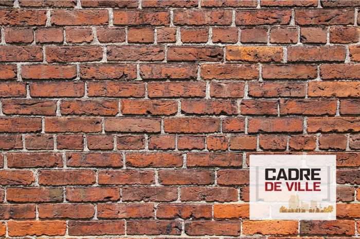 Roubaix veut rassembler les opérateurs capables de donner une nouvelle vie à la friche Hibon